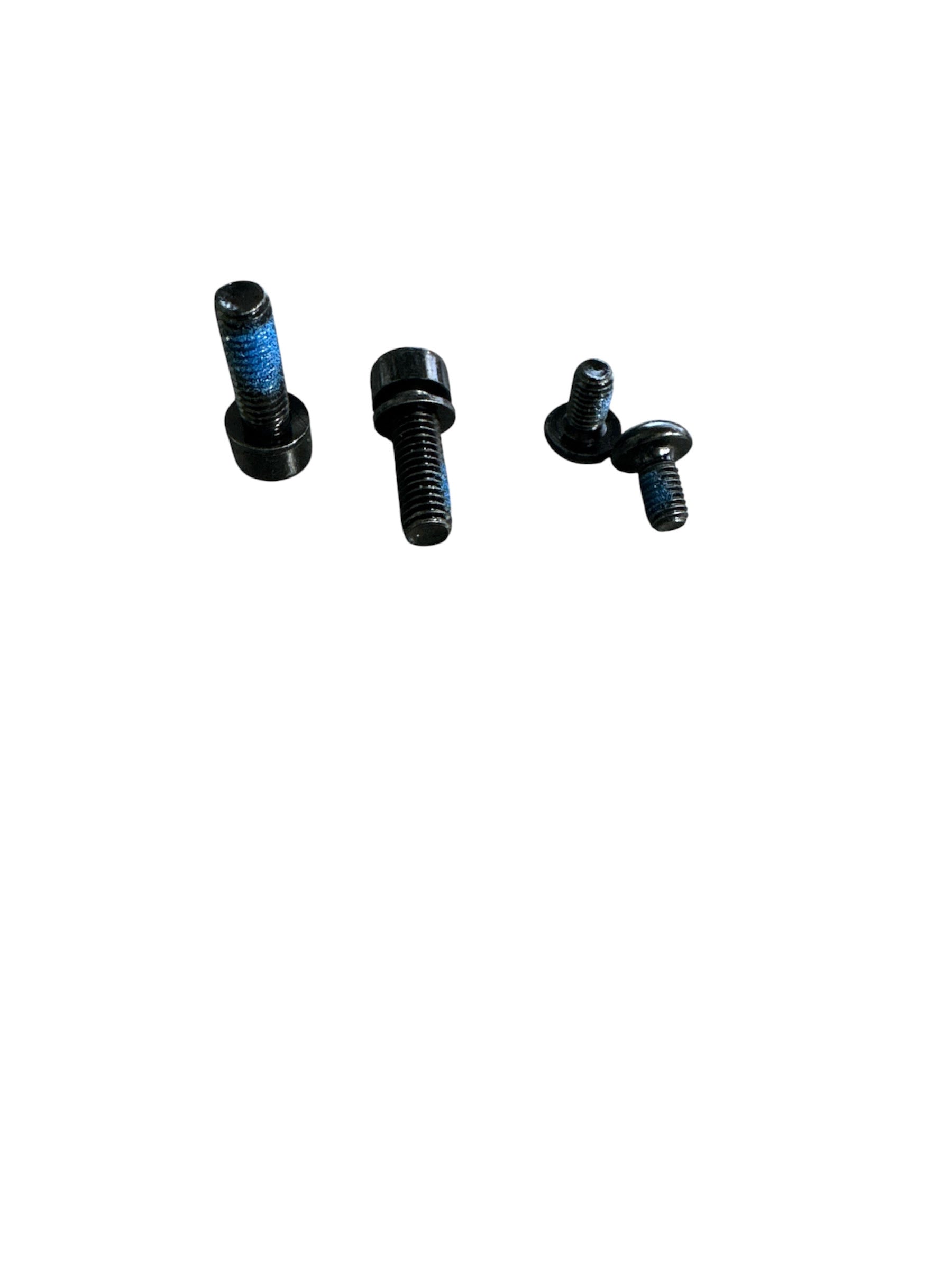 Screws For TSE Footrest - Hardware for TSE Bike Footplate