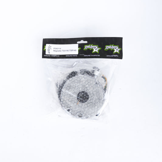 Thumpstar TS-P040114 Magneto 140CC TSK for dirt bikes and off-road motorcycles