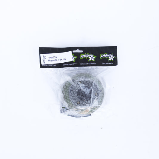 Thumpstar TS-P061574 Magneto 110CC TSK for dirt bikes and off-road motorcycles