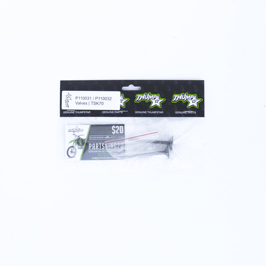 Thumpstar TS-VA70K 70CC Valve Kit TSK for dirt bikes and off-road motorcycles